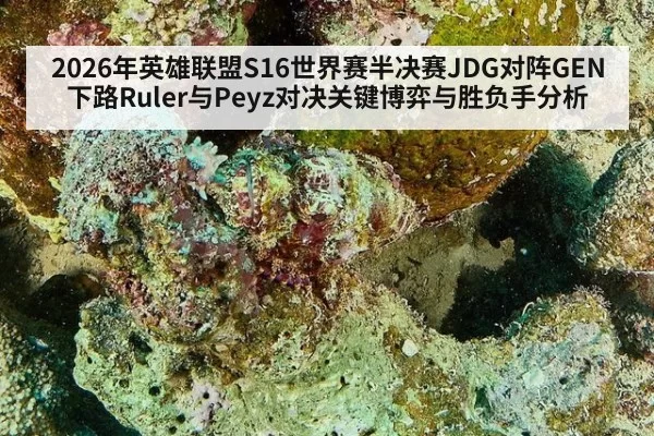 2026年英雄联盟S16世界赛半决赛JDG对阵GEN下路Ruler与Peyz对决关键博弈与胜负手分析