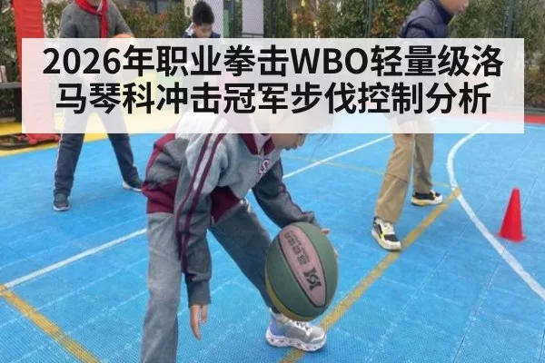 2026年职业拳击WBO轻量级洛马琴科冲击冠军步伐控制分析